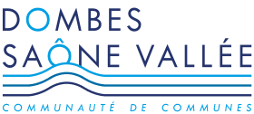 Dsv